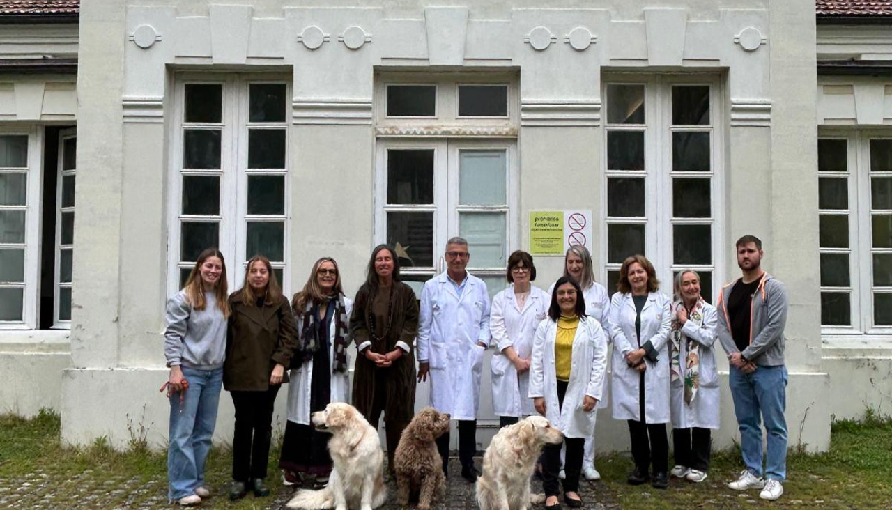 Perros de terapia en el hospital de Oza