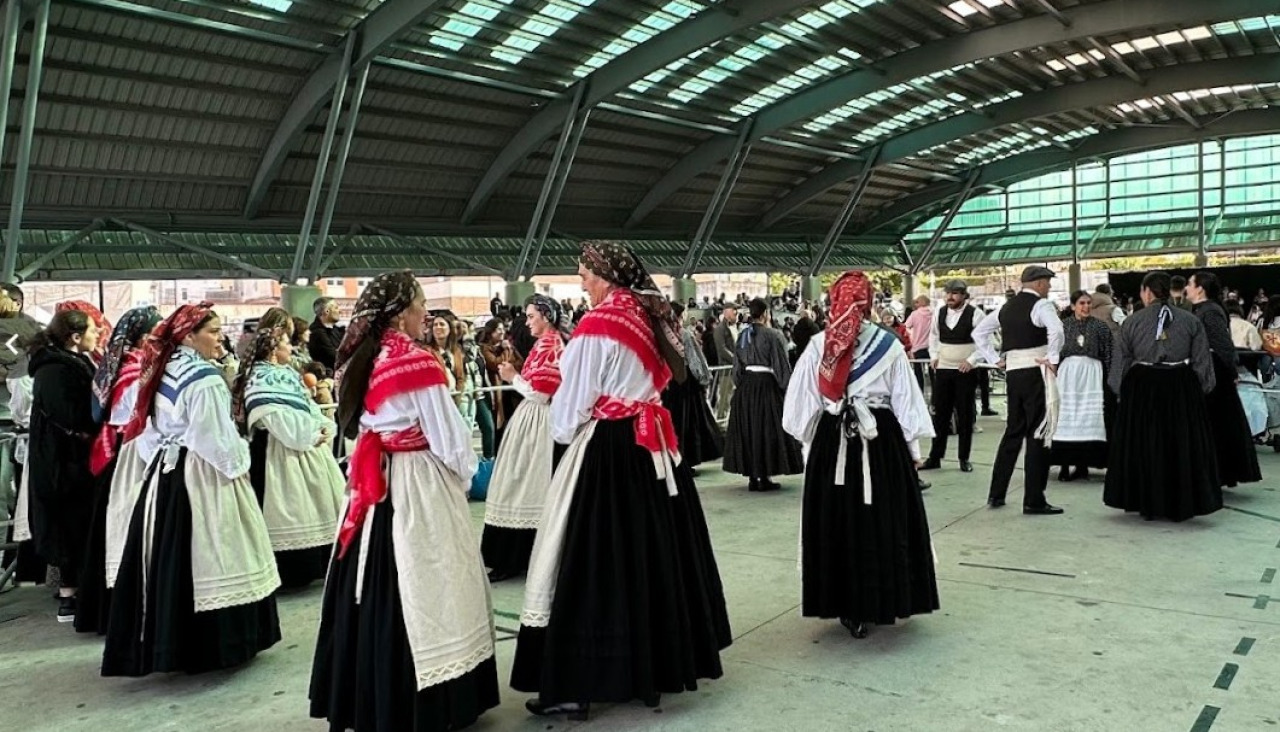 Du00eda da Muiu00f1eira en Arteixo