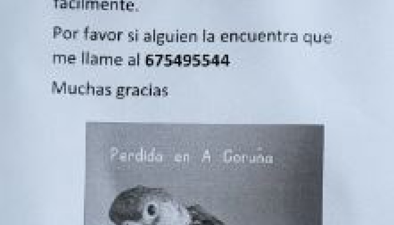 Perdida