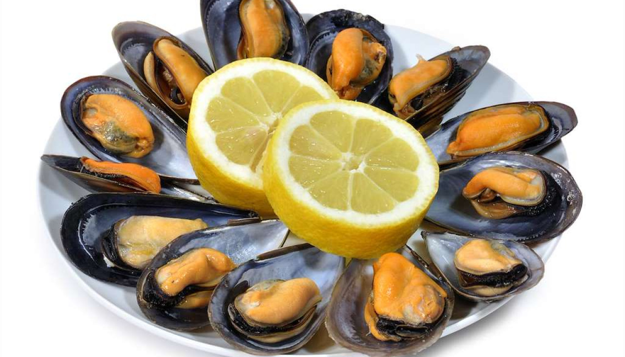 Festa do mexillou0301n