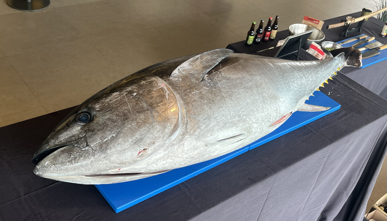 La pieza protagonista, un atuu0301n rojo de 110 kilos procedente del sur de Portugal