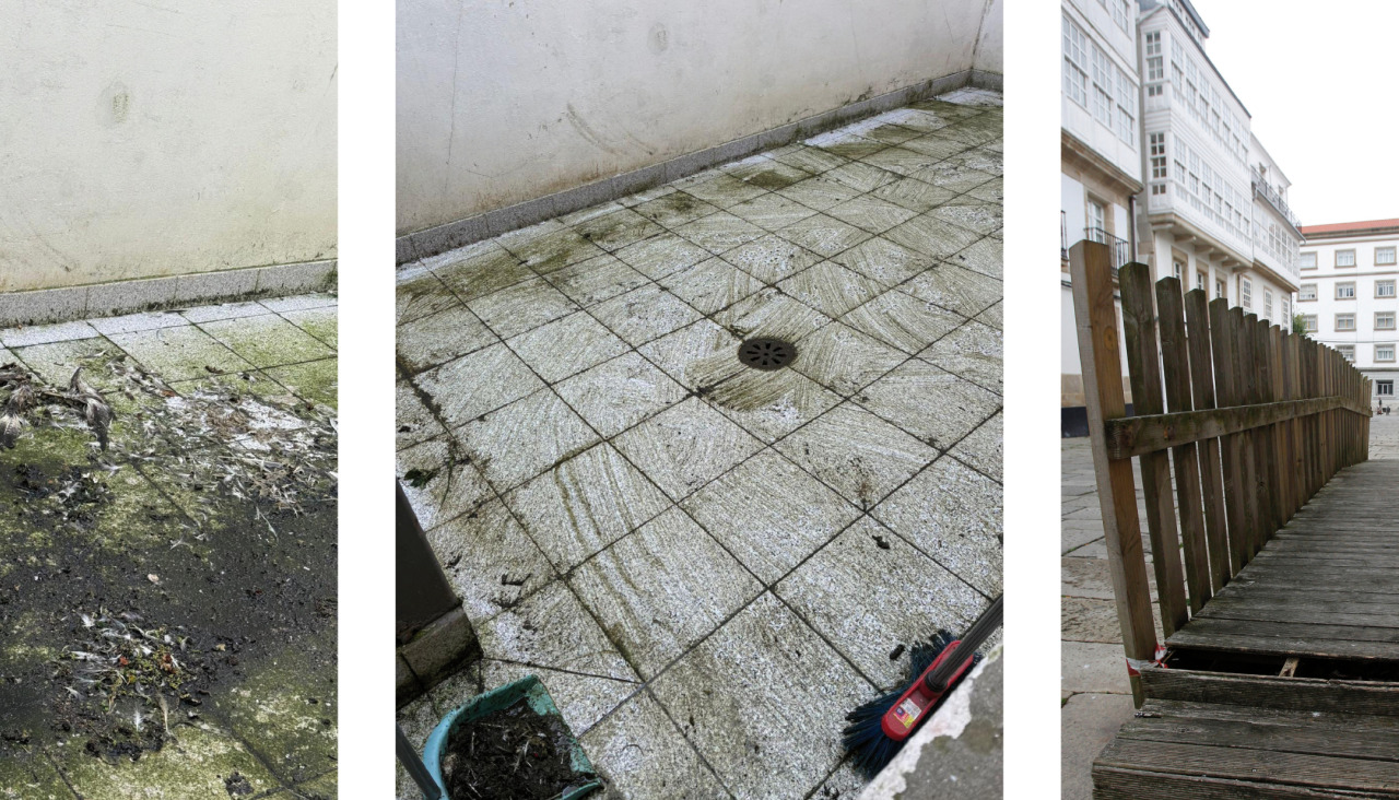 Algunos desperfectos del CEIP Cidade Vella cedidas y quintana