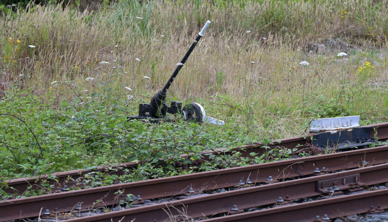 Los vecinos denuncian el nulo mantenimiento del entorno de la estación de Betanzos-Infesta