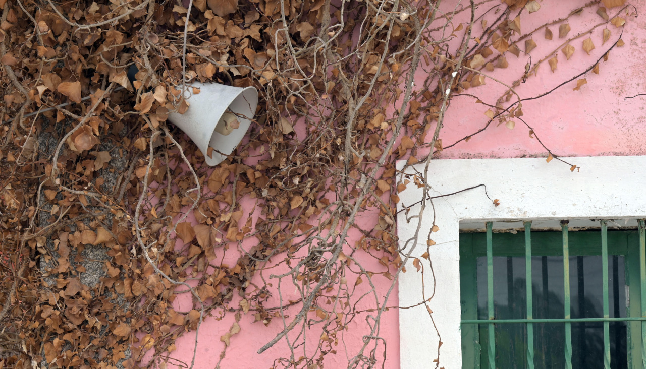 Las zarzas trepan por los muros de las construcciones, abandonadas y vandalizadas