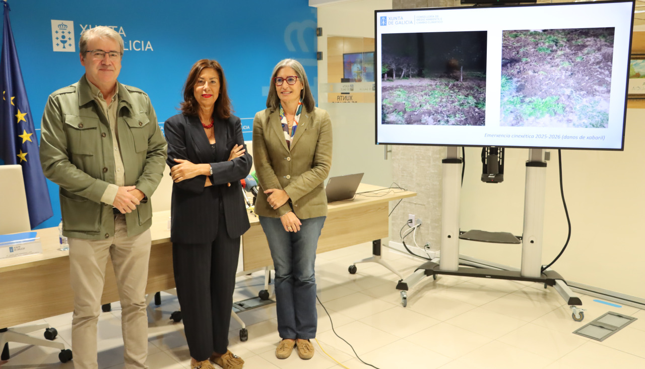 La Xunta declara la emergencia cinegética para la caza de jabalíes