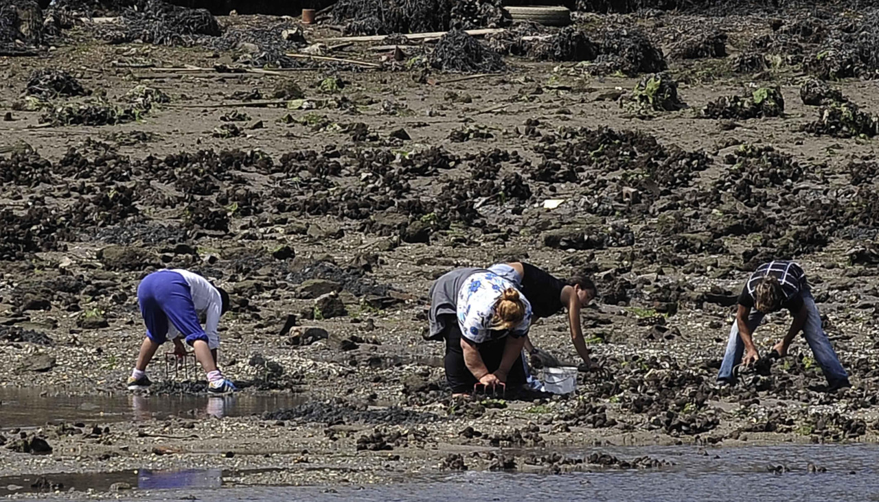 Furtivos en la ría de O Burgo en 2010
