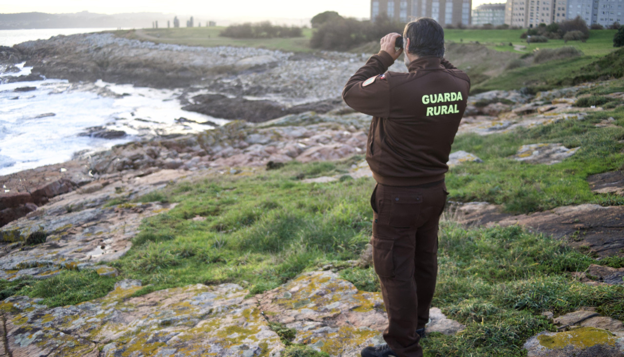 Un vigía en la costa de la Torre