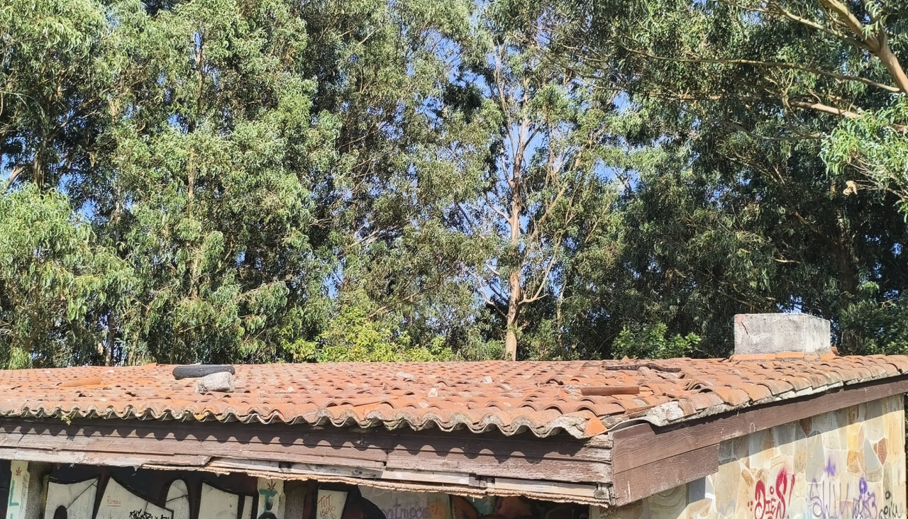 Alternativa de Culleredo alerta del abandono de la capilla de San Cosme