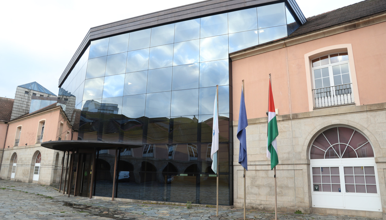 Bandera de Palestina en el Rectorado