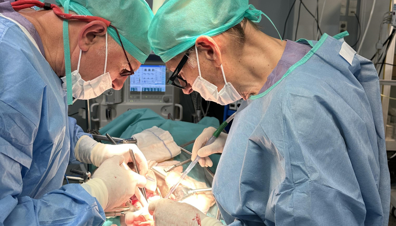 Javier Rodríguez Rivera y Marcelino González Martín, en el quirófano experimental del Inibic