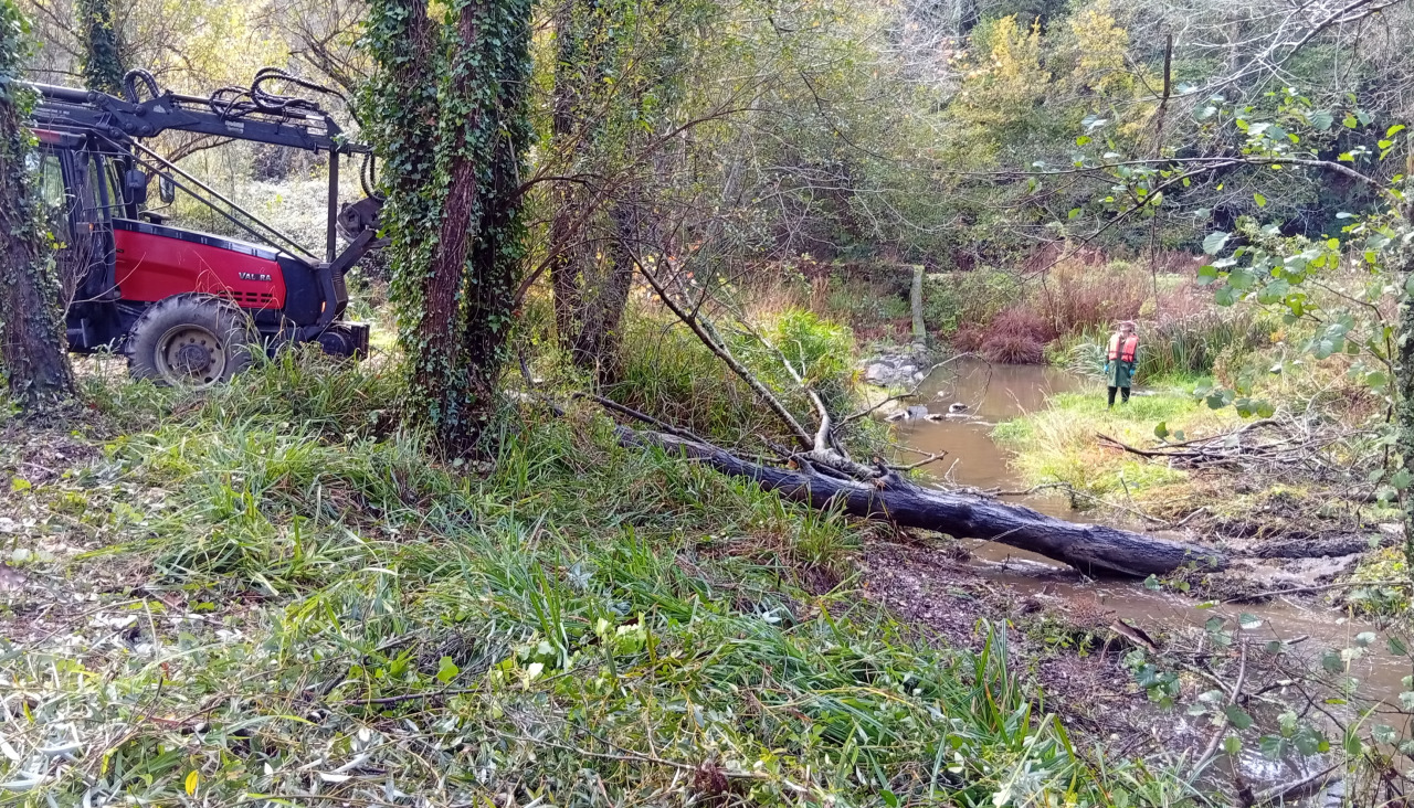 Tareas de limpieza en el cauce del río Mero a su paso por Cambre
