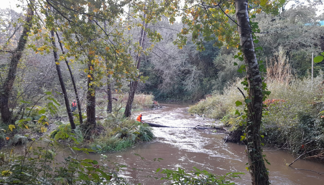Tareas de limpieza en el cauce del río Mero a su paso por Cambre