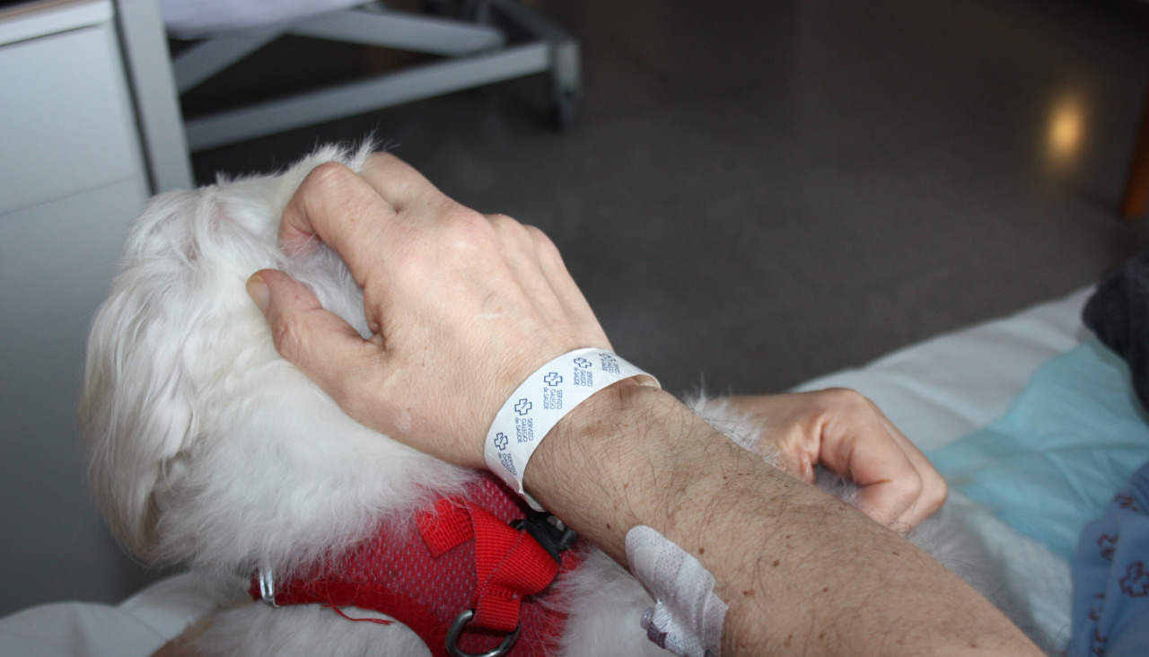 Programa 'Coa túa mascota' con el que los pacientes de paliativos del Chuac pueden compartir tiempo con sus mascotas