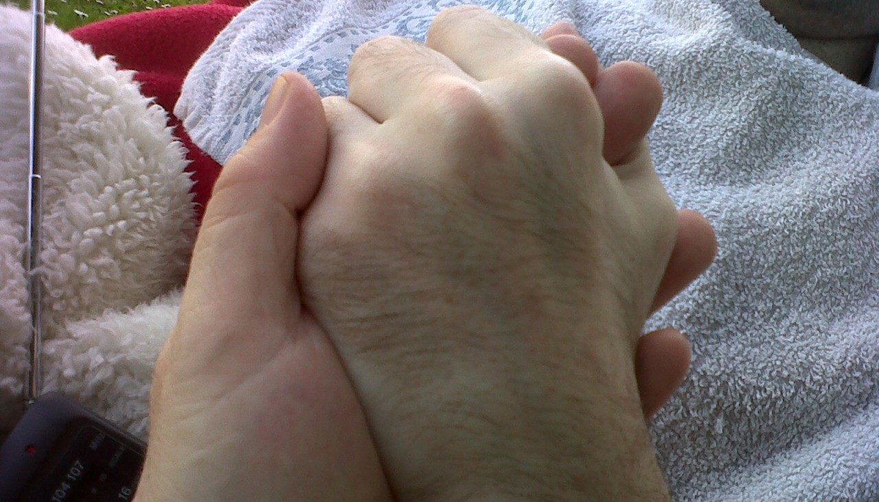 Las manos de Antonio y Pablo, imagen de la portada del libro