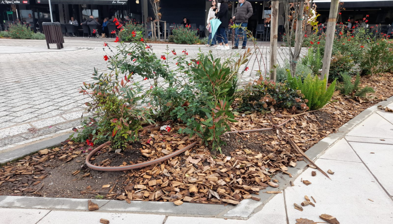 La madera transformada en corteza se deposita en zonas como Santa Cristina