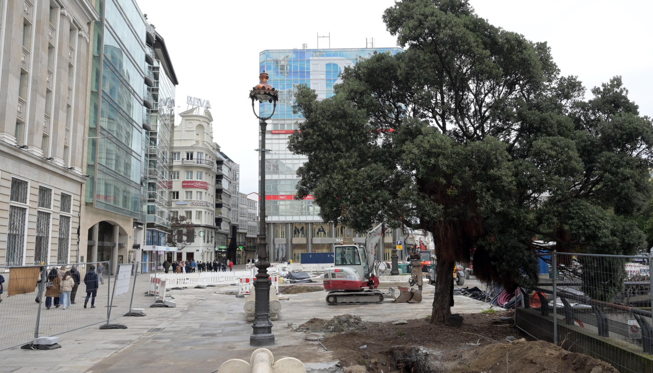 La cuenta atrás para que el Metrosidero abandone su ubicación actual