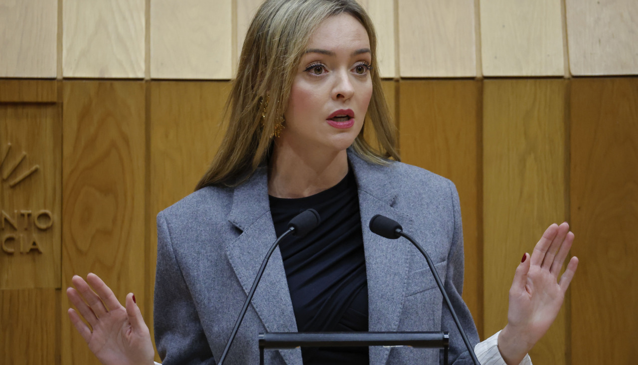 A conselleira de Igualdade, Fabiola García, no Parlamento de Galicia