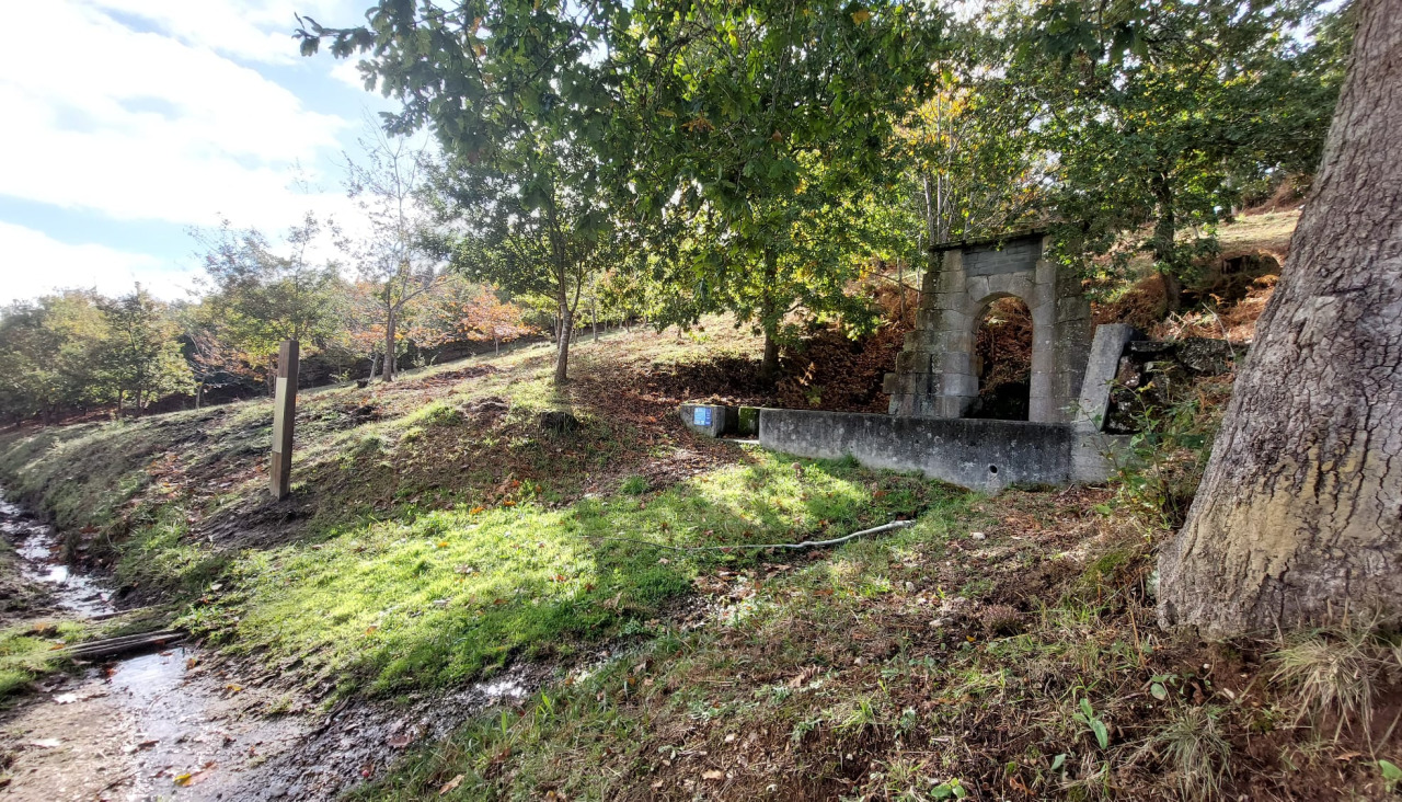 Bosque Atlántico Bergondo