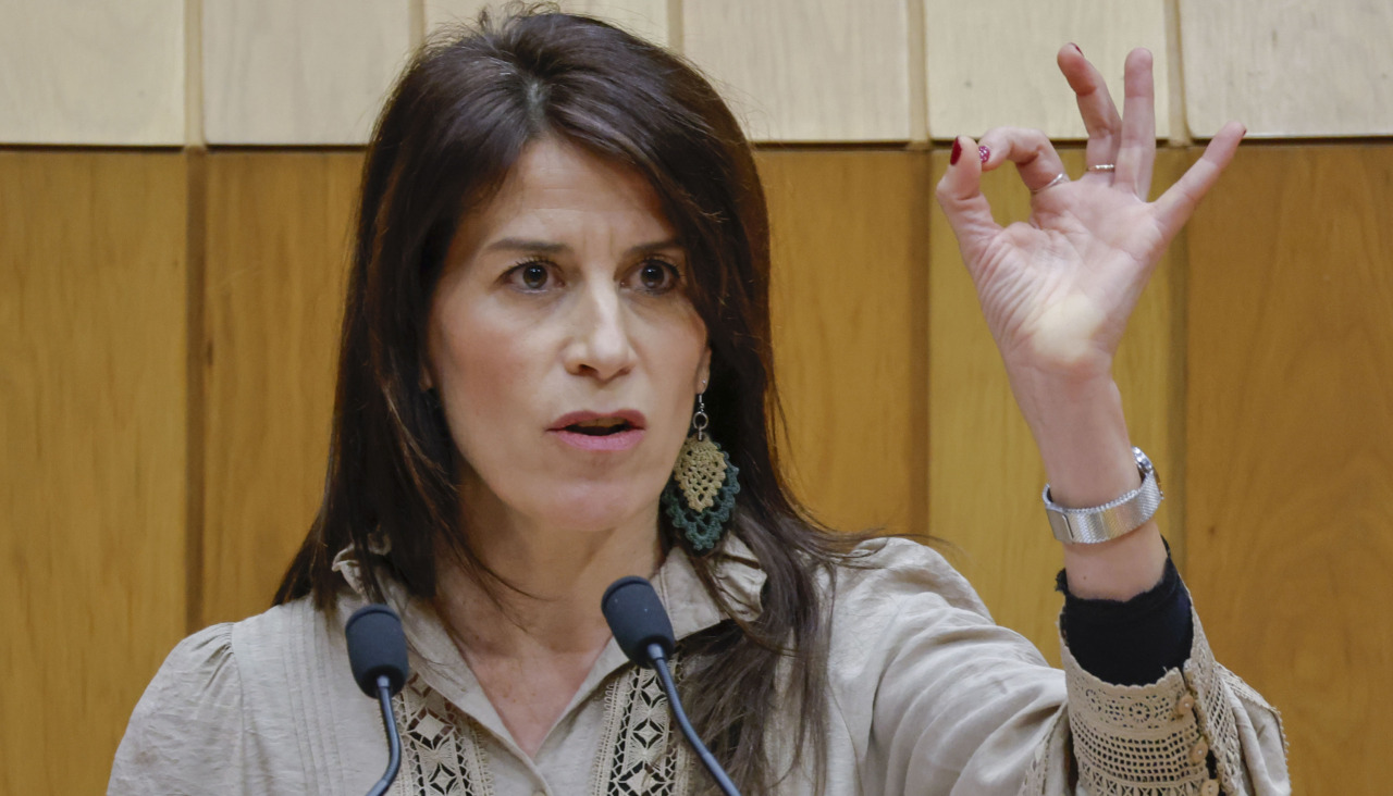 A conselleira de Vivenda, María Martínez Allegue, durante a súa comparecencia este martes no Plano da Cámara galega