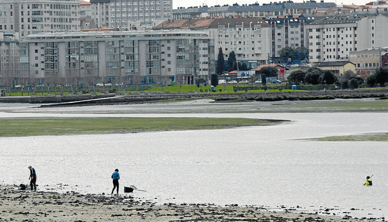Los mariscadores volverán a ser una imagen habitual en la ría
