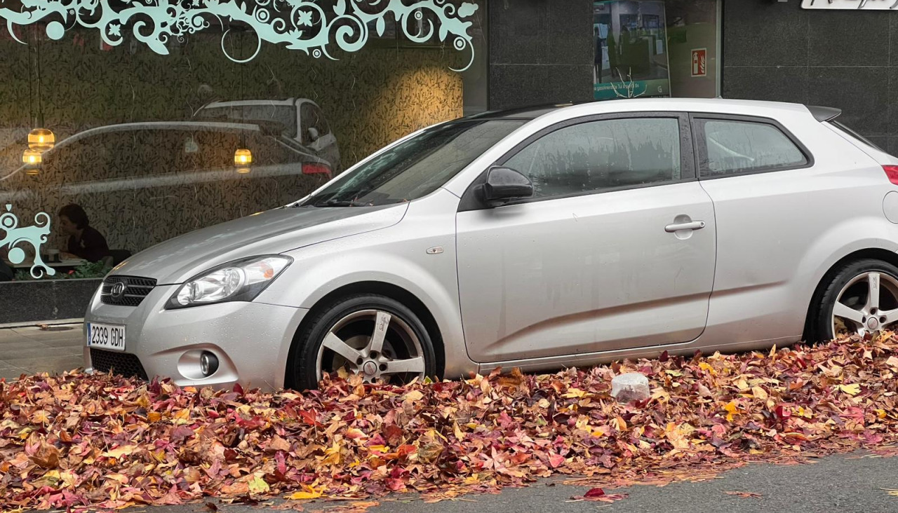 Coche tapado por hojas