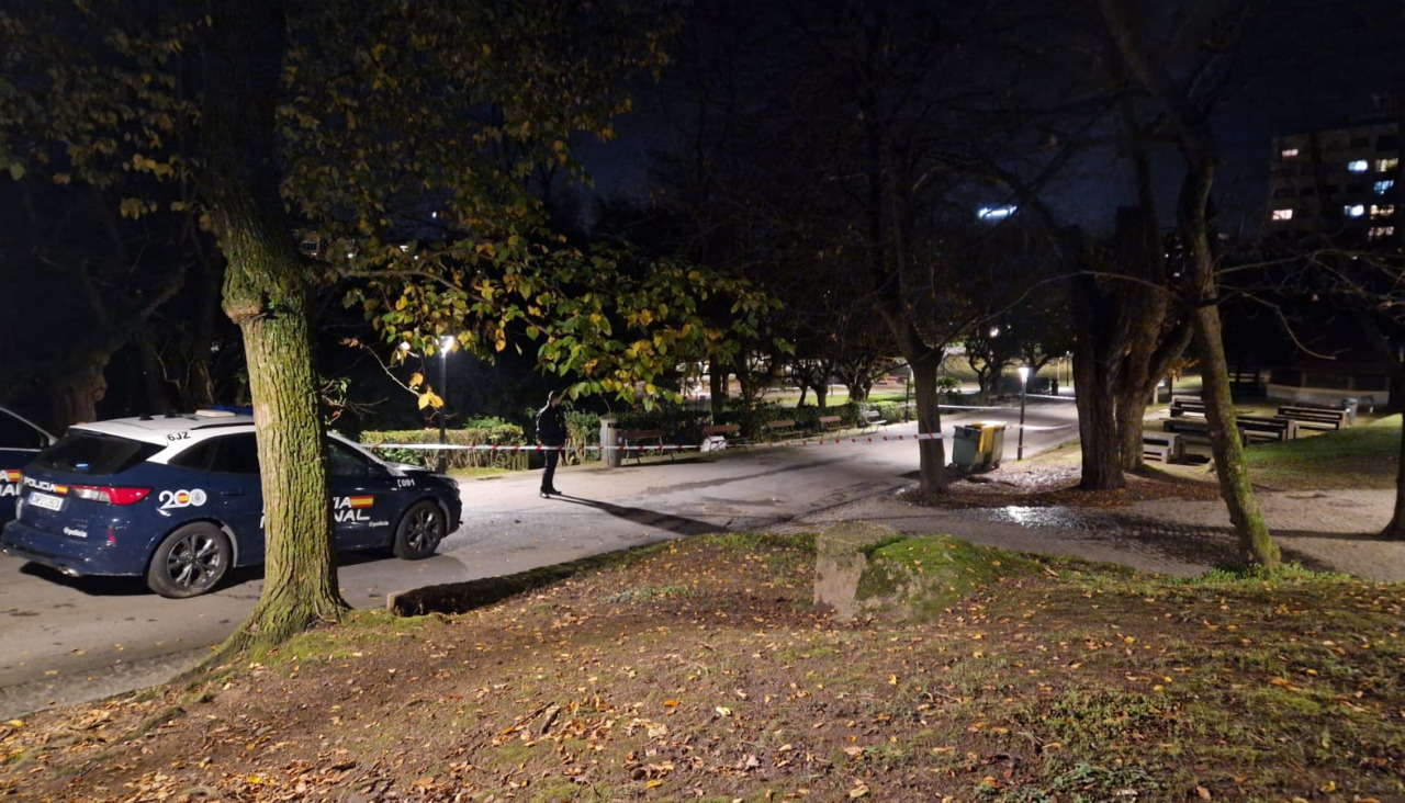 La Policía Nacional, en el lugar de los hechos, esta noche