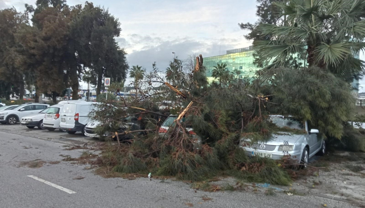 Tornado Mijas