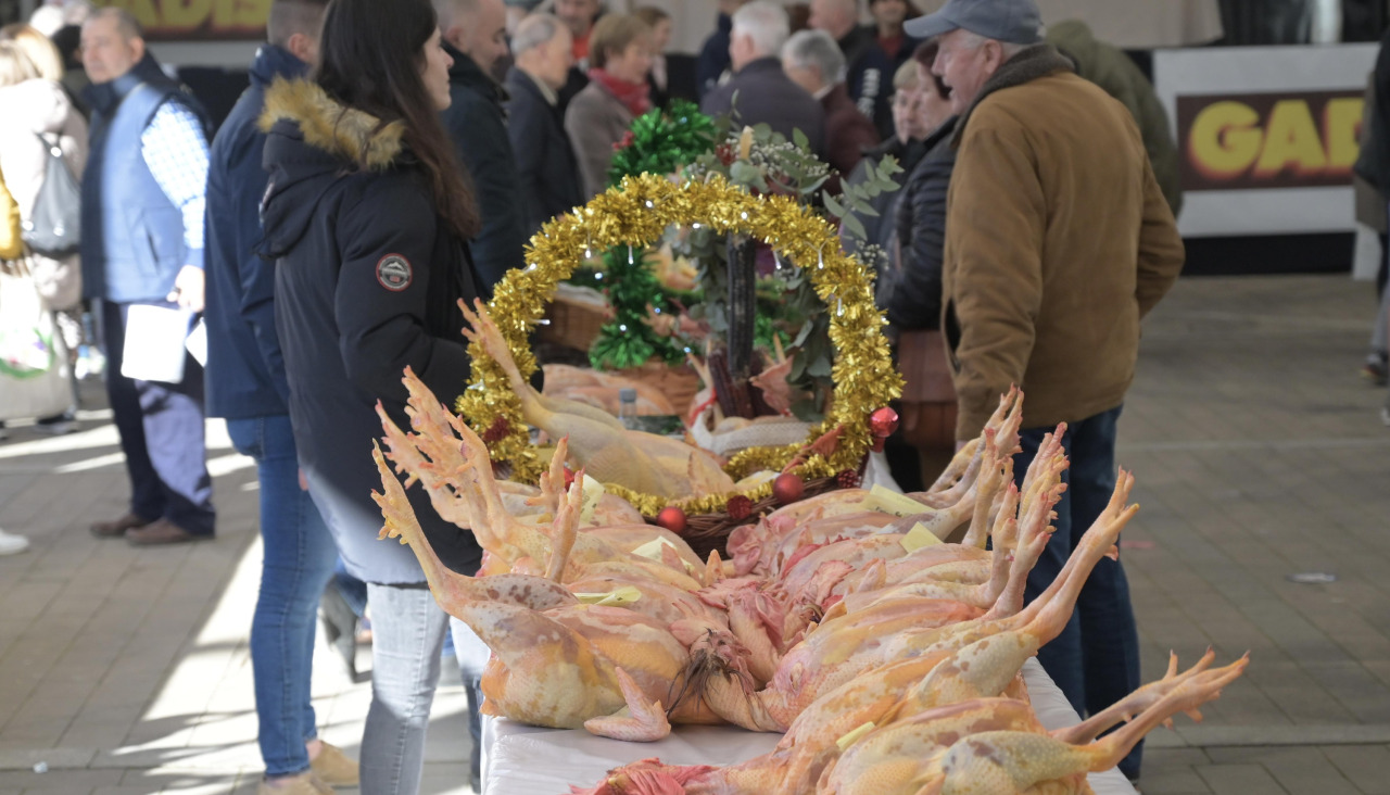 Gallos muertos en una edición anterior de la feria