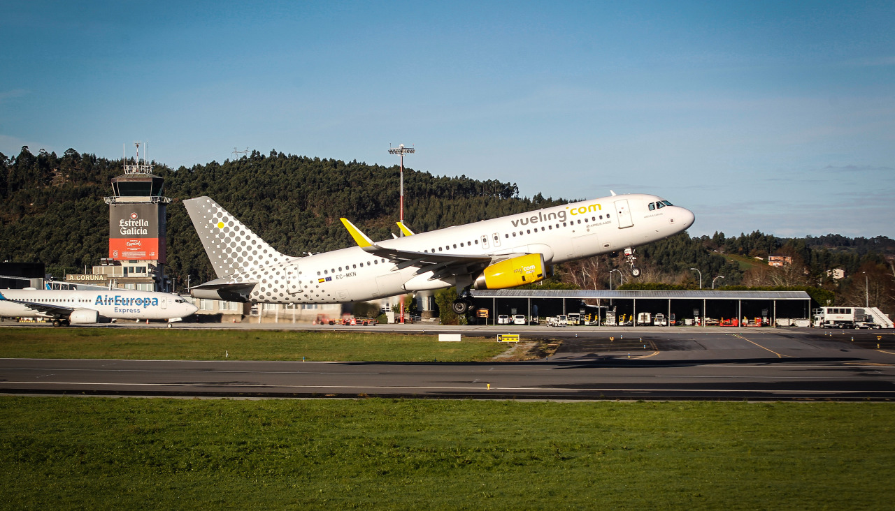 Operativo en Alvedro para cazar a un jabalí que se había colado en la pista