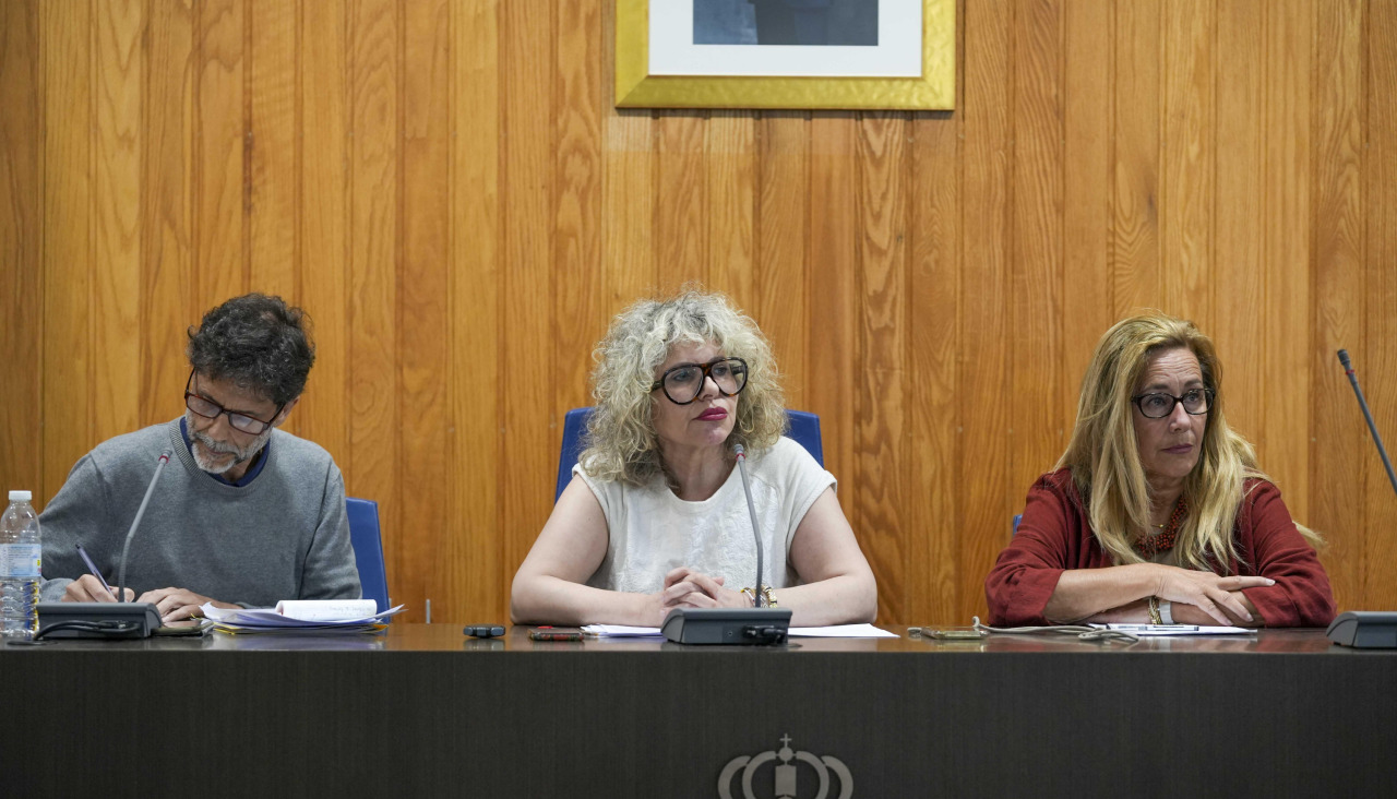 Diana Piñeiro, en el centro, durante un pleno municipal