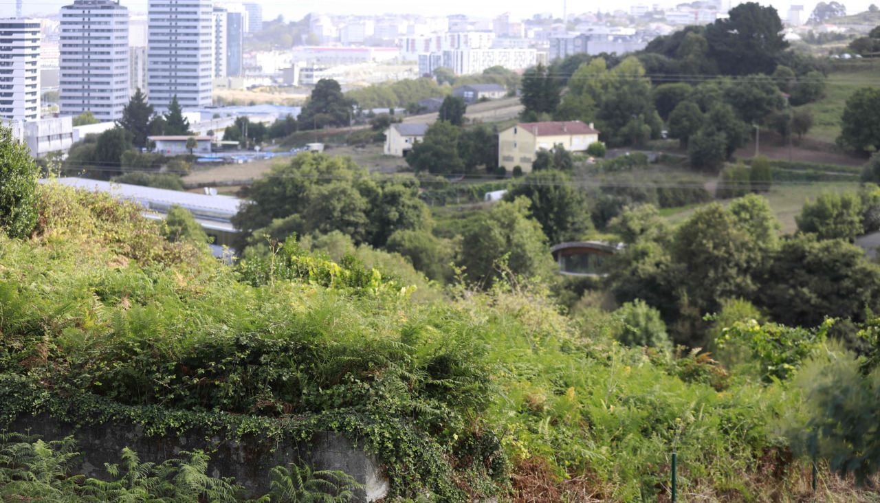 Vista del Castro de Elviña