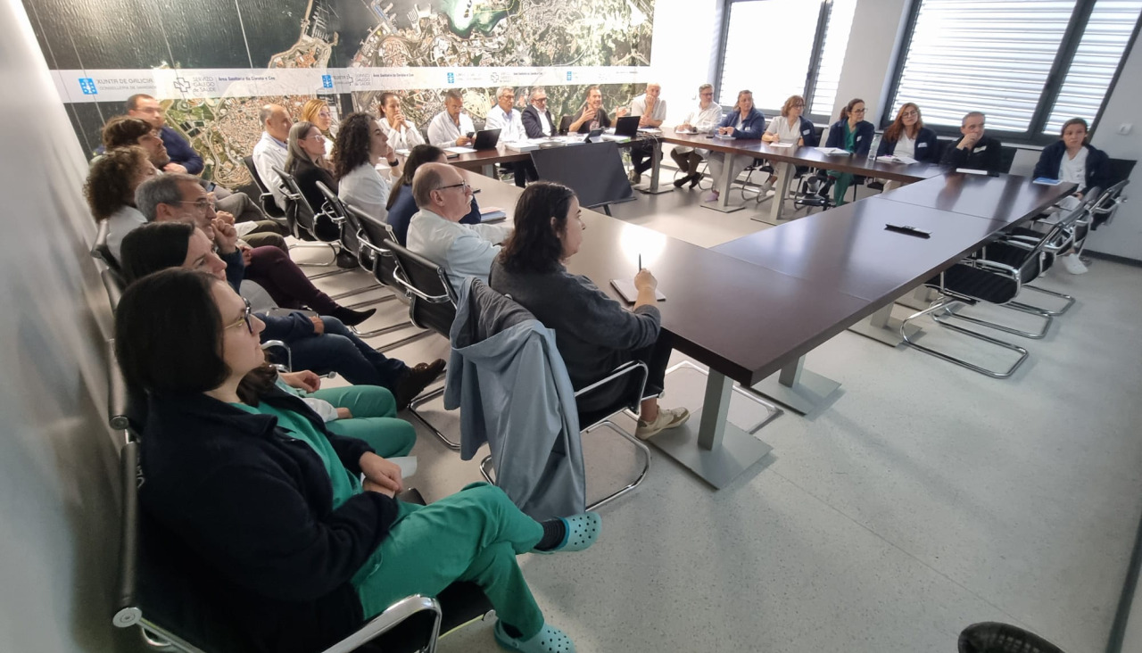 Un momento de la reunión para informar a los profesionales del área sanitaria de los avances del Nuevo Chuac