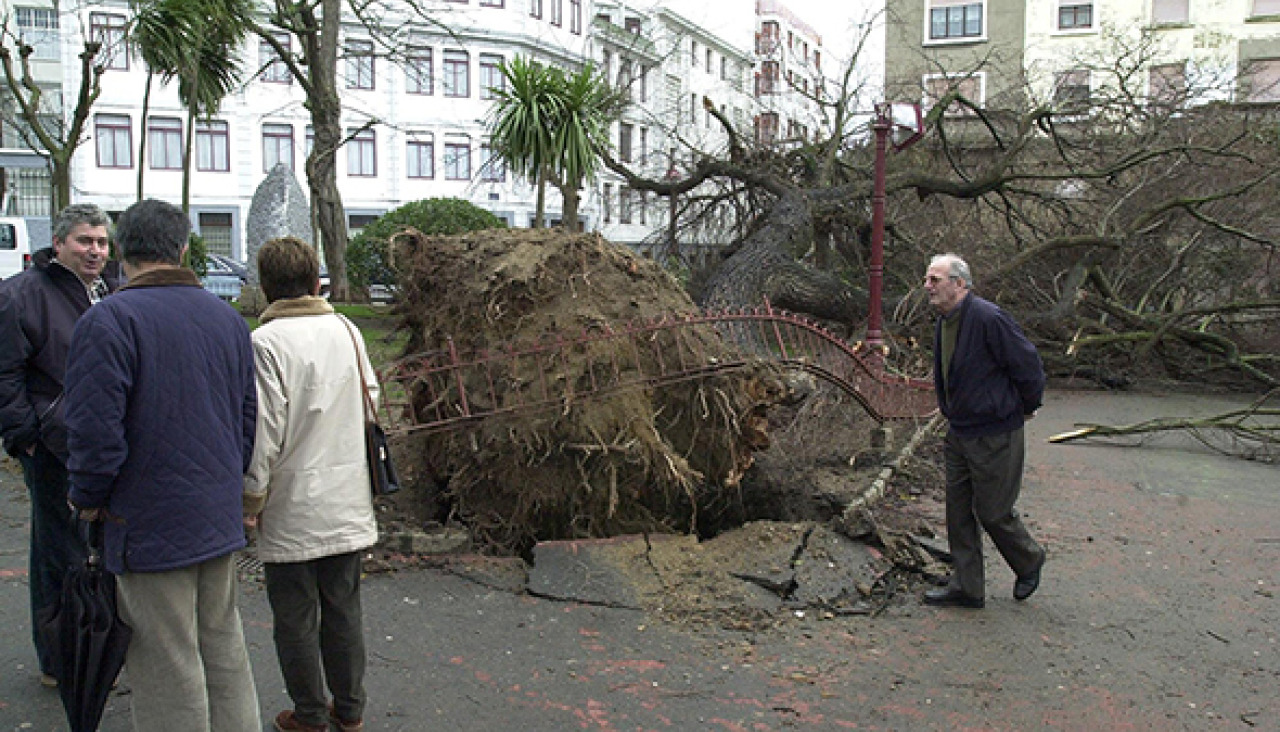 Árboles de la plaza de España derribados por el temporal hace 25 años