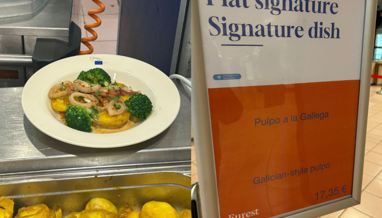 El particular pulpo a la gallega del Parlamento Europeo