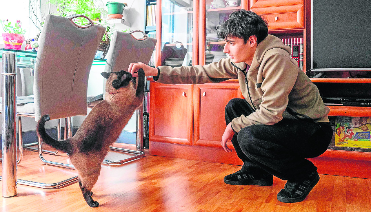 Un dueño juega con su mascota en el salón de su casa