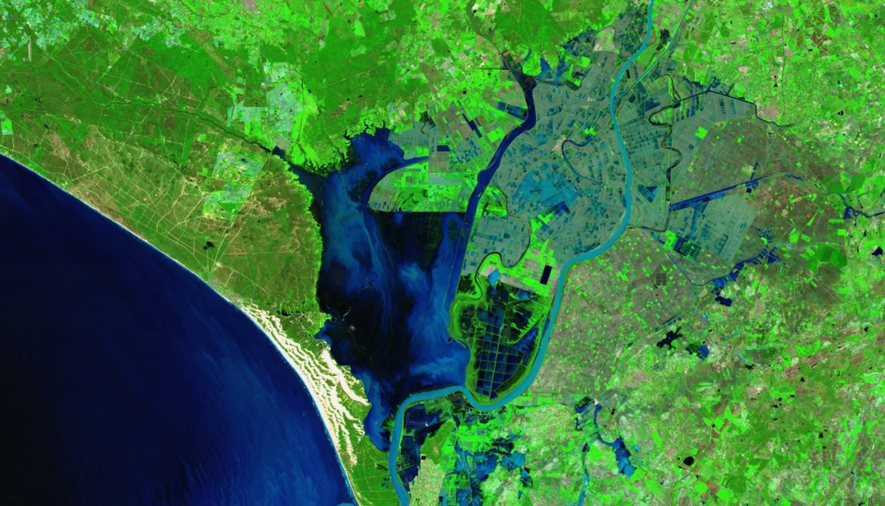 Imagen de la marisma de Doñana inundada por completo