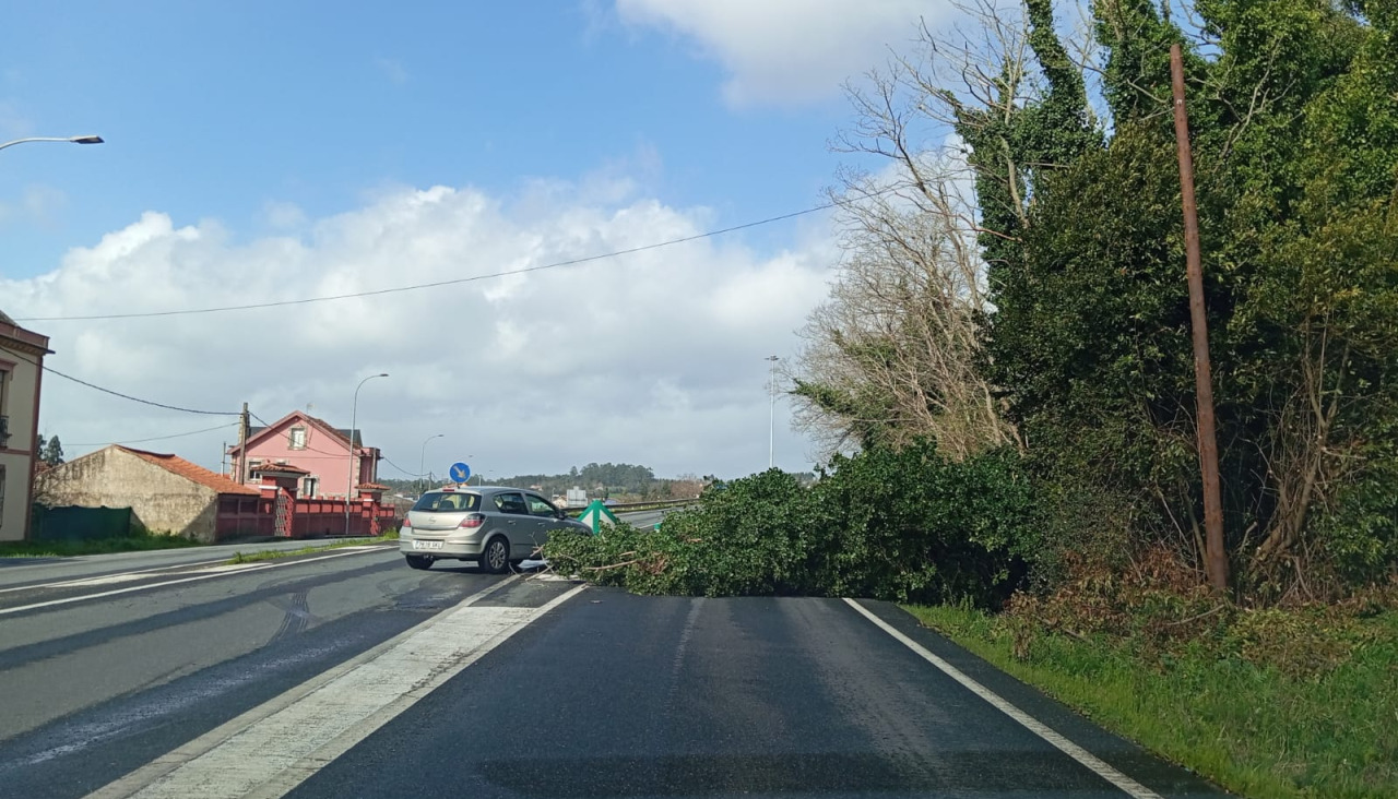 Árbol caído a la entrada de la autopista en Guísamo
