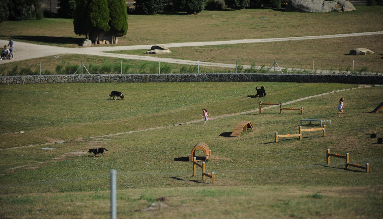 Perros en el área canina del parque de Bens, en una imagen de 2018Un perro se asoma a uno de los conductos de agua criticados, ya que permitirían salir a los canes de menor tamaño