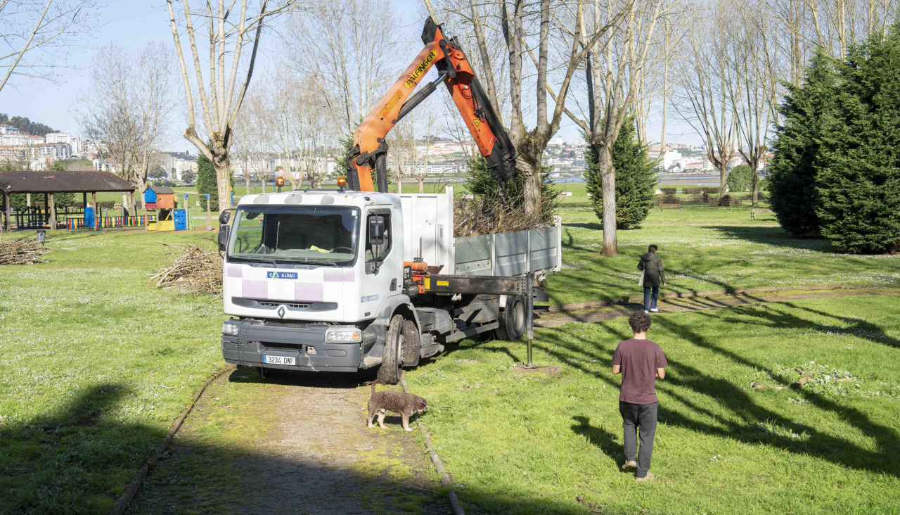 Operarios recogían este martes los restos de poda en el paseo