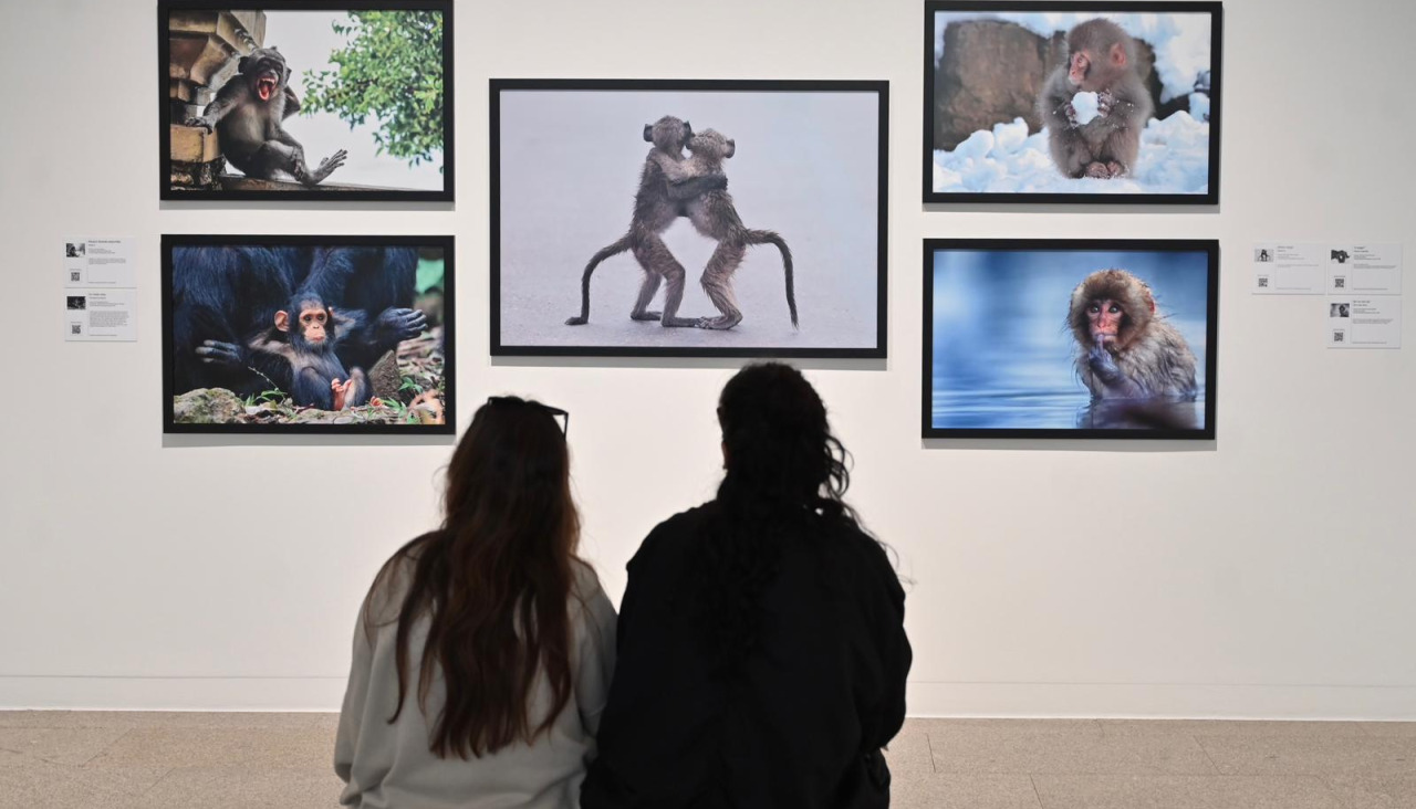 Dos personas observan las imágenes de la exposición