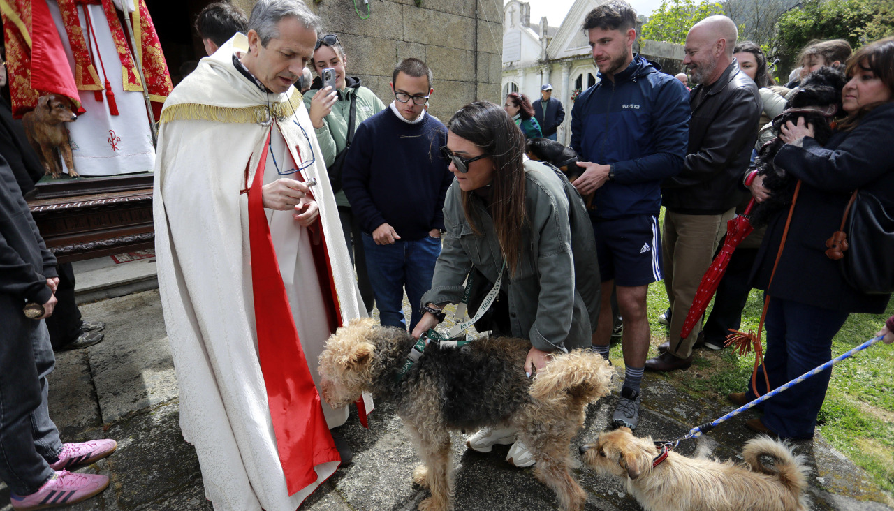 Misa y bendición de perros en las fiestas de San Outelo, Celas de Peiro