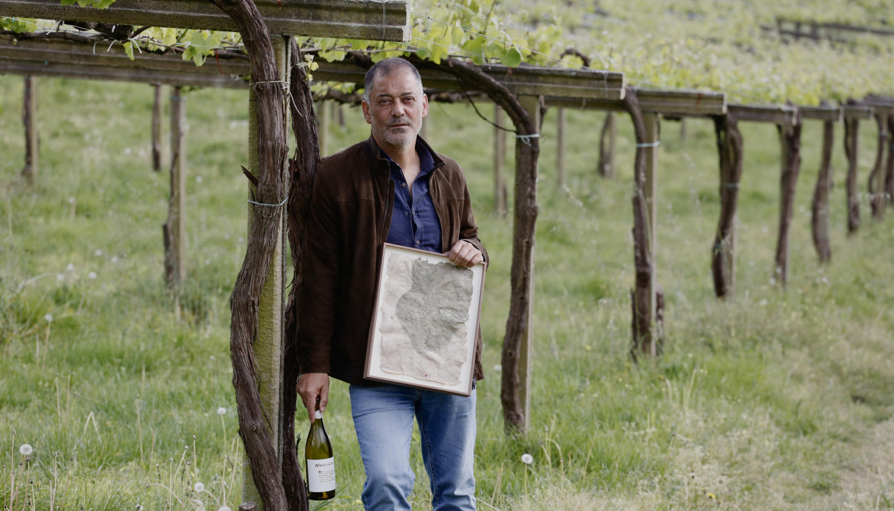 Xoán Allegue, nas viñas que Bodegas Martín Códax ten en Barrantes