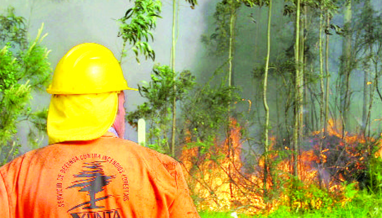 Uno de los incendios de hace 25 años