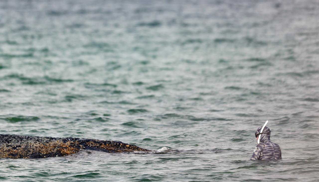 El biólogo marino Robert Marc Lehmann (d) examinó a la ballena el pasado marzo cuando estaba varada en las aguas del mar Báltico, cerca del puerto de Niendorf