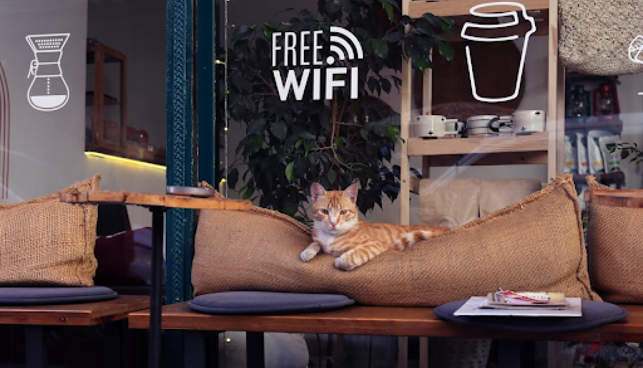 elidealgallego-wifi-portada