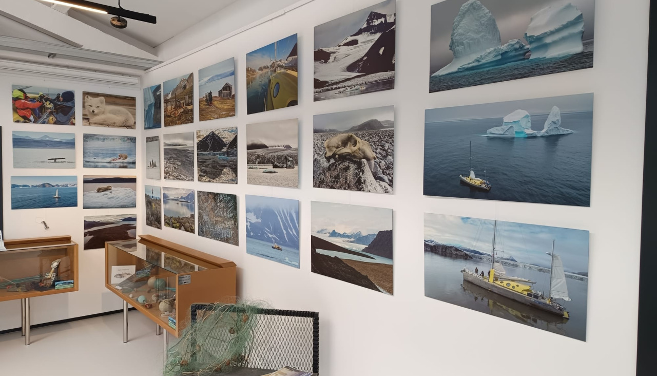 Exposición