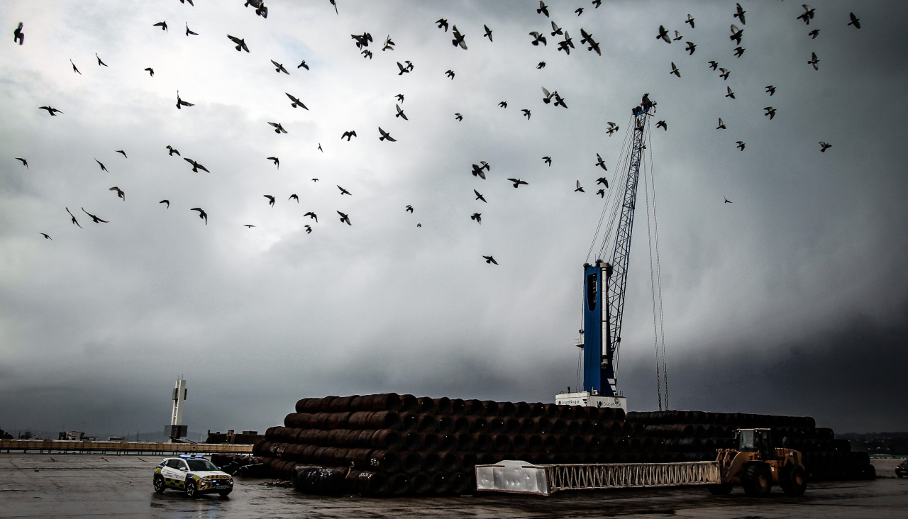 Aves sobrevuelan uno de los muelles del puerto de A Coruña El Puerto de A Coruña espera una recuperación de tráficos este año tras un marzo negativo