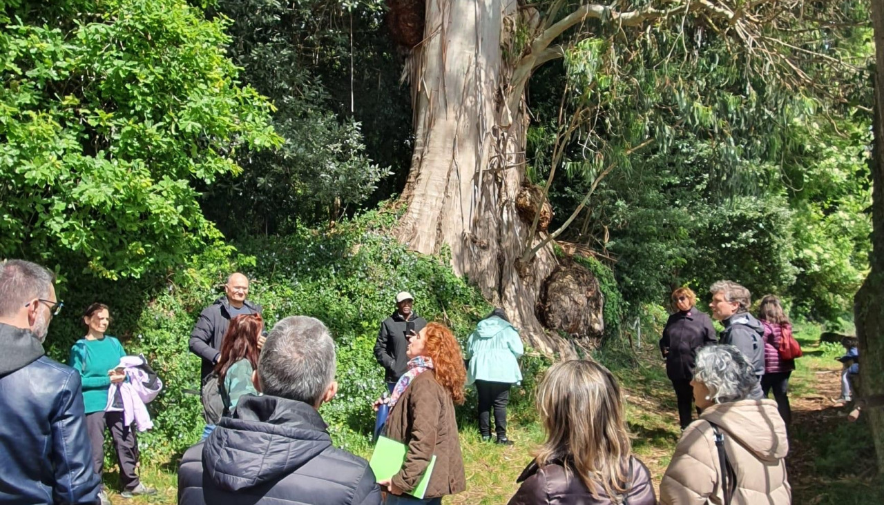 Los asistentes conocieron todos los detalles de los árboles que rodean el inmueble