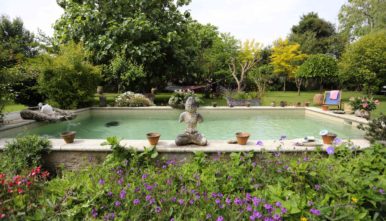 Alberca en medio del jardín