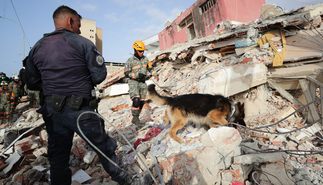 Un rescatista del Ejercito de México junto a su perro trabajan en un edificio afectado por el terremoto en La Guaira